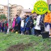 Festa_Albero_2008